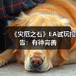 《灾厄之石》EA试玩报告:有待完善(图2) 《灾厄之石》EA试玩报告:有待完善(图2)