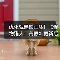 优化就是砍画质!《怪物猎人:荒野》更新后4K变1K负优化(图2) 优化就是砍画质!《怪物猎人:荒野》更新后4K变1K负优化(图2)