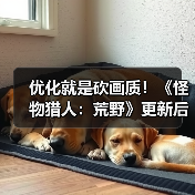 优化就是砍画质!《怪物猎人:荒野》更新后4K变1K负优化(图4) 优化就是砍画质!《怪物猎人:荒野》更新后4K变1K负优化(图4)