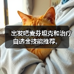 出发吧麦芬坦克和治疗自选金技能推荐。（图2）