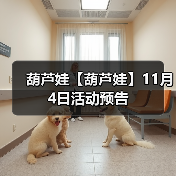 葫芦娃【葫芦娃】11月4日活动预告（图1）