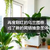 再度翻红的乌兰图雅,成了新的网络抽象圣体(图1) 再度翻红的乌兰图雅,成了新的网络抽象圣体(图1)