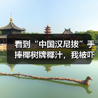 看到“中国汉尼拔”手捧椰树牌椰汁,我被吓得做了噩梦(图3) 看到“中国汉尼拔”手捧椰树牌椰汁,我被吓得做了噩梦(图3)