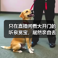 只在直播间看大开门的听泉赏宝,居然亲自去探墓摸金了?(图2) 只在直播间看大开门的听泉赏宝,居然亲自去探墓摸金了?(图2)