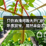 只在直播间看大开门的听泉赏宝,居然亲自去探墓摸金了?(图4) 只在直播间看大开门的听泉赏宝,居然亲自去探墓摸金了?(图4)