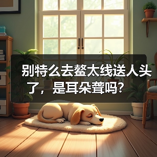 别特么去鳌太线送人头了,是耳朵聋吗?(图1) 别特么去鳌太线送人头了,是耳朵聋吗?(图1)