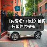 《闪耀吧!噜咪》捕捉只因体验揭秘(图2) 《闪耀吧!噜咪》捕捉只因体验揭秘(图2)