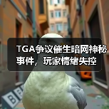 TGA争议催生暗网神秘事件,玩家情绪失控(图3) TGA争议催生暗网神秘事件,玩家情绪失控(图3)