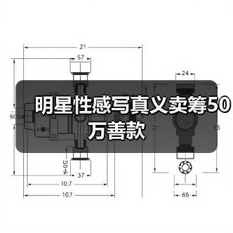 明星性感写真义卖筹50万善款(图4) 明星性感写真义卖筹50万善款(图4)