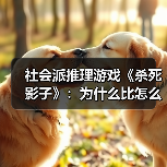 社会派推理游戏《杀死影子》：为什么比怎么做更重要？（图3）