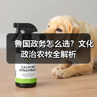 鲁国政务怎么选？文化政治农牧全解析（图1）