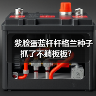 紫脸蛋蓝杆杆格兰种子抓了不躺板板?(图3) 紫脸蛋蓝杆杆格兰种子抓了不躺板板?(图3)