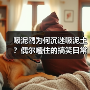 吸泥鸥为何沉迷吸泥土?偶尔噎住的搞笑日常(图4) 吸泥鸥为何沉迷吸泥土?偶尔噎住的搞笑日常(图4)