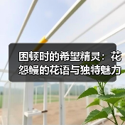 困顿时的希望精灵:花怨鳗的花语与独特魅力(图4) 困顿时的希望精灵:花怨鳗的花语与独特魅力(图4)