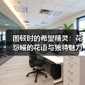困顿时的希望精灵:花怨鳗的花语与独特魅力(图3) 困顿时的希望精灵:花怨鳗的花语与独特魅力(图3)