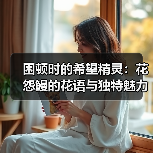 困顿时的希望精灵:花怨鳗的花语与独特魅力(图1) 困顿时的希望精灵:花怨鳗的花语与独特魅力(图1)