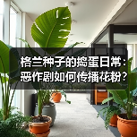 格兰种子的捣蛋日常:恶作剧如何传播花粉?(图4) 格兰种子的捣蛋日常:恶作剧如何传播花粉?(图4)