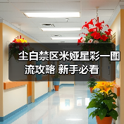 尘白禁区米娅星彩一图流攻略 新手必看（图3）