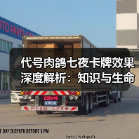 代号肉鸽七夜卡牌效果深度解析：知识与生命的博弈（图1）