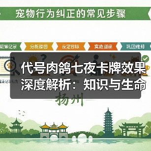 代号肉鸽七夜卡牌效果深度解析：知识与生命的博弈（图4）