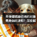 天使娜娜最佳缔约对象竟是伽菈波那?深度解析(图1) 天使娜娜最佳缔约对象竟是伽菈波那?深度解析(图1)