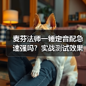麦芬法师一锤定音配急速强吗？实战测试效果曝光（图3）