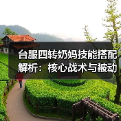 台服四转奶妈技能搭配解析：核心战术与被动选择技巧（图1）