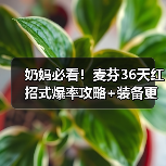 奶妈必看!麦芬36天红招式爆率攻略+装备更新全解析(图2) 奶妈必看!麦芬36天红招式爆率攻略+装备更新全解析(图2)