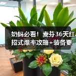 奶妈必看!麦芬36天红招式爆率攻略+装备更新全解析(图3) 奶妈必看!麦芬36天红招式爆率攻略+装备更新全解析(图3)
