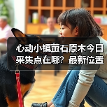 心动小镇萤石原木今日采集点在哪？最新位置全公开（图2）
