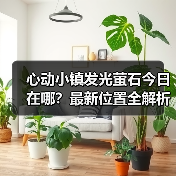心动小镇发光萤石今日在哪？最新位置全解析（图1）