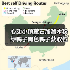 心动小镇萤石溜溜木粉绿鸭子黑色鸭子获取位置全解析(图4) 心动小镇萤石溜溜木粉绿鸭子黑色鸭子获取位置全解析(图4)