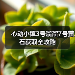 心动小镇3号溜溜7号萤石获取全攻略（图1）