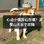 心动小镇萤石在哪？温泉山老家全攻略（图4）
