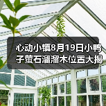 心动小镇8月19日小鸭子萤石溜溜木位置大揭秘（图2）