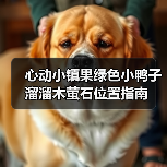 心动小镇果绿色小鸭子溜溜木萤石位置指南（图4）