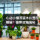 心动小镇溜溜木位置在哪里？最新攻略揭秘（图2）