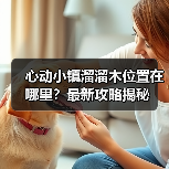 心动小镇溜溜木位置在哪里？最新攻略揭秘（图3）