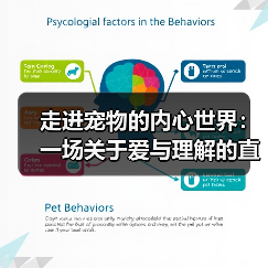 走进宠物的内心世界:一场关于爱与理解的直播对话(图2) 走进宠物的内心世界:一场关于爱与理解的直播对话(图2)