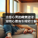 治愈心灵的萌宠旋律:宠物心理音乐视频全解析(图3) 治愈心灵的萌宠旋律:宠物心理音乐视频全解析(图3)